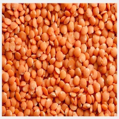 MASOOR DAL